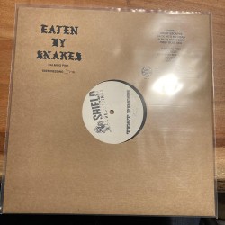 Eaten By Snakes - Calming Pink LP - Testpressing
